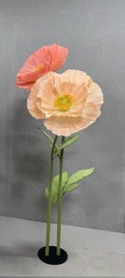 Ramo 2 flores