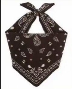 Écharpe BANDANAS Triangle * Choco