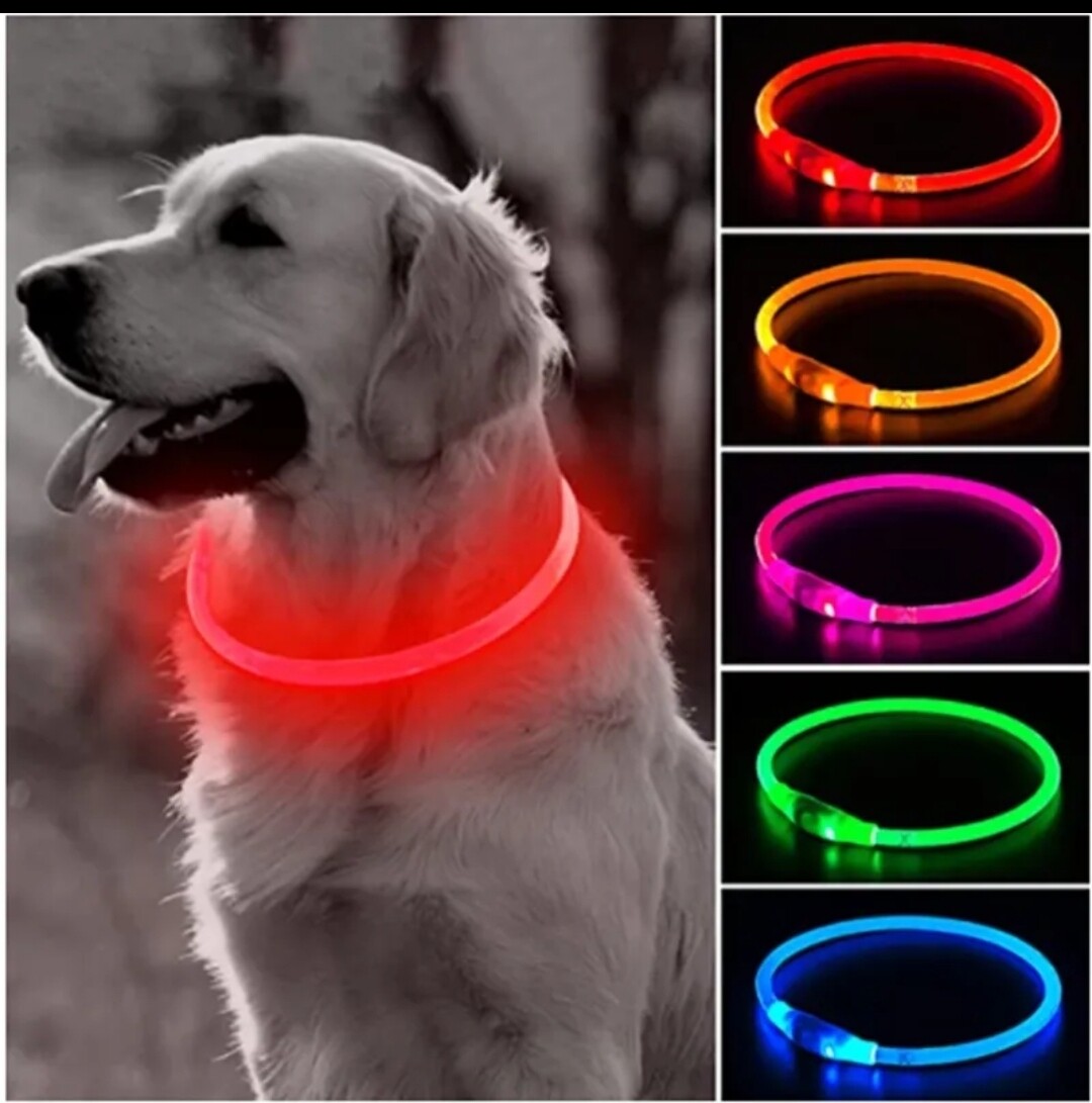 glowing pet collar multicolour