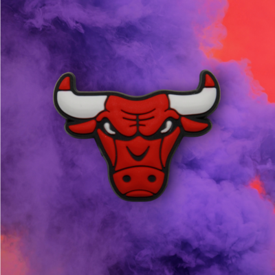 Chicago Bulls