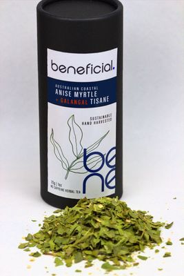 Anise Myrtle + Galangal TISANE