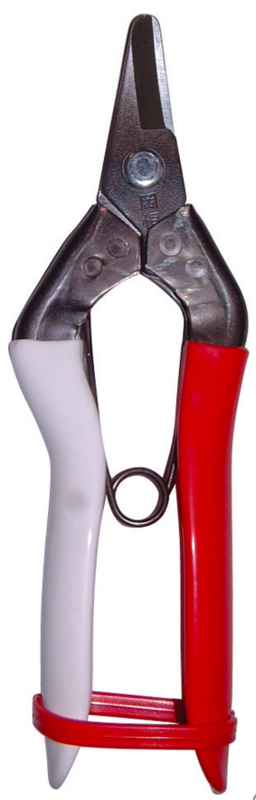 Tesoura colheita Fruta 301