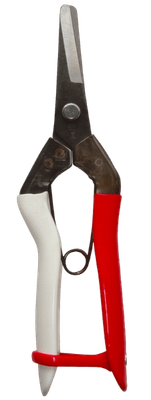 Tesoura colheita Okatsune 306