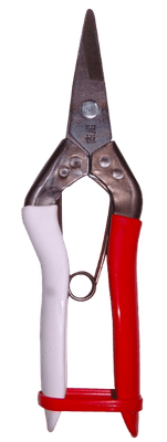 Tesoura colheita Okatsune 307