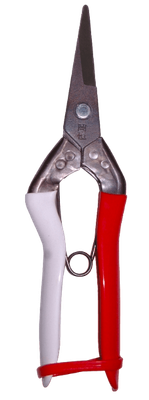 Tesoura colheita Okatsune 304