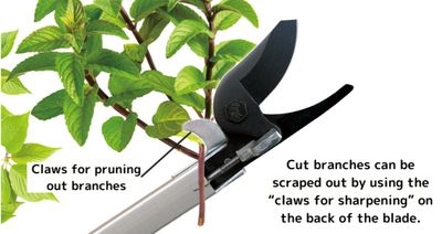 Podador de longo alcance para pomares 2,0 m N-107
