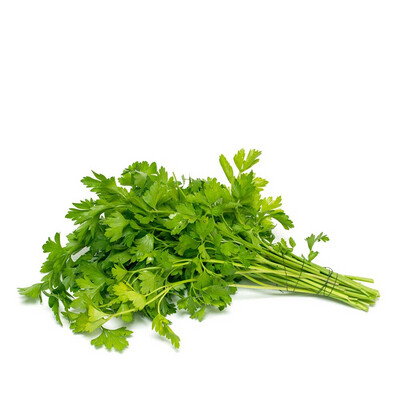 Fresh Coriander