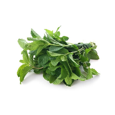 Fresh Mint