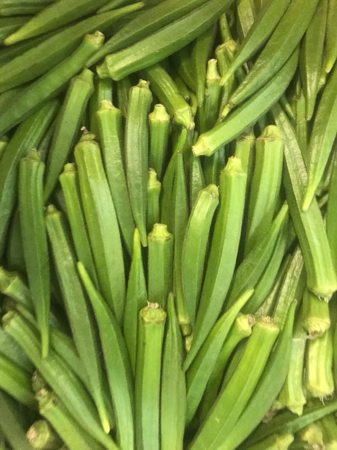 Indian okra(Bhindi)