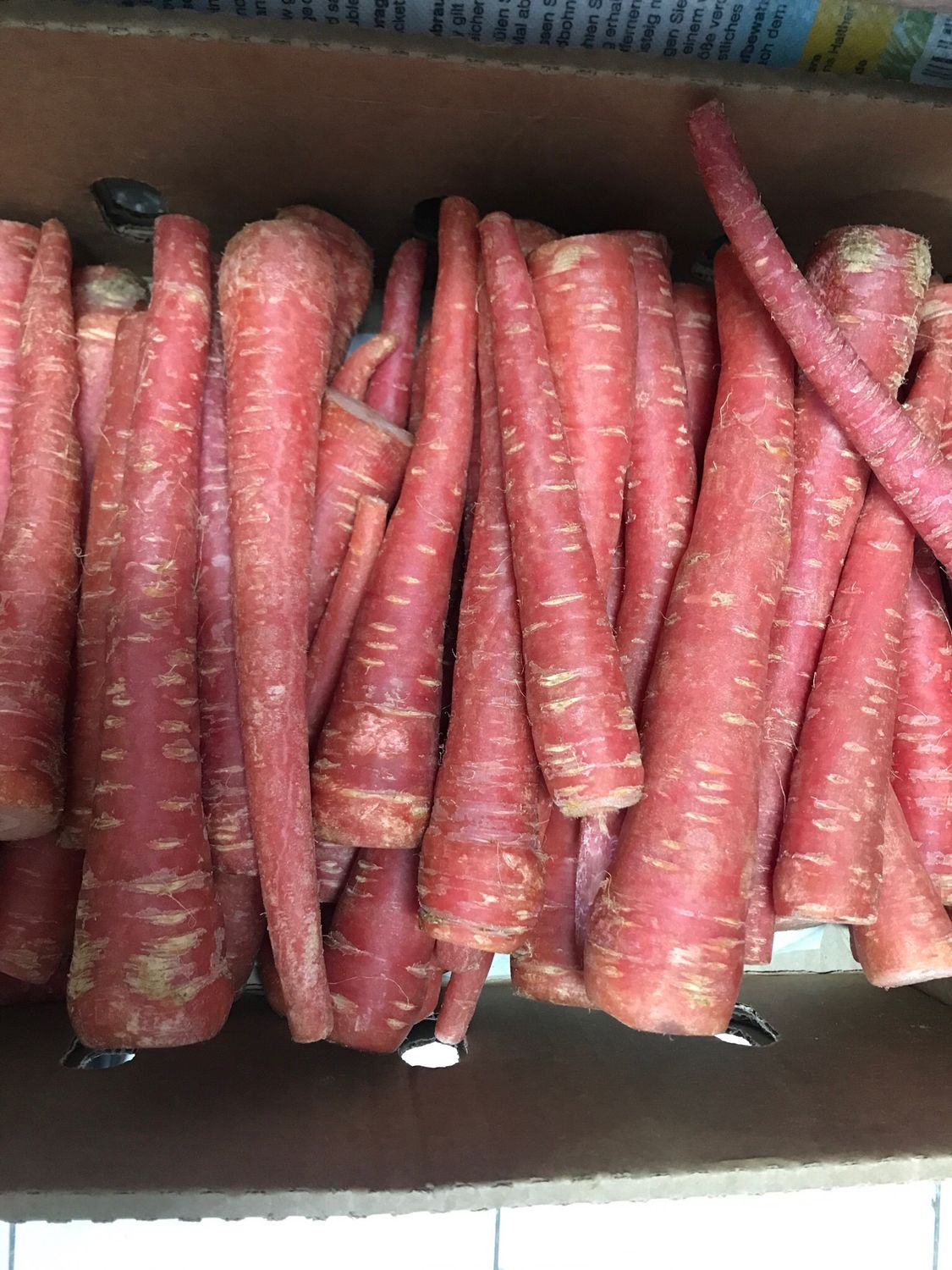 Fresh Indian Gajar