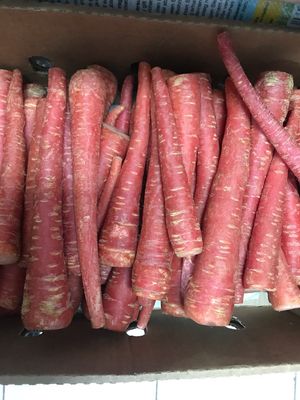 Fresh Indian Gajar