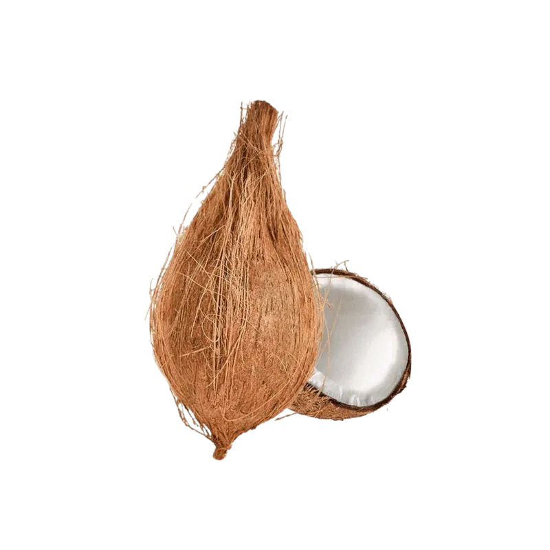 Fresh Coconut 