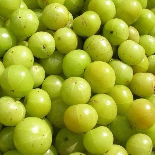 Fresh Amla
