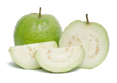 Guava 1pc