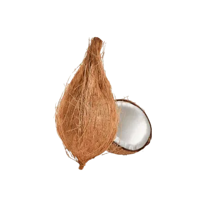 Fresh Coconut 