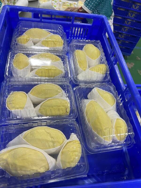 Durian Flesh - Keep Refrigerated 4-10°C / 500g