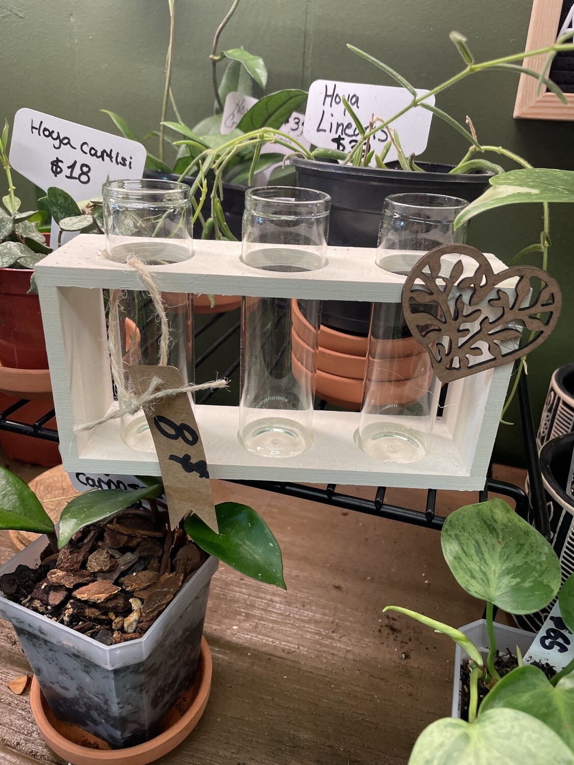 Propagation  Station