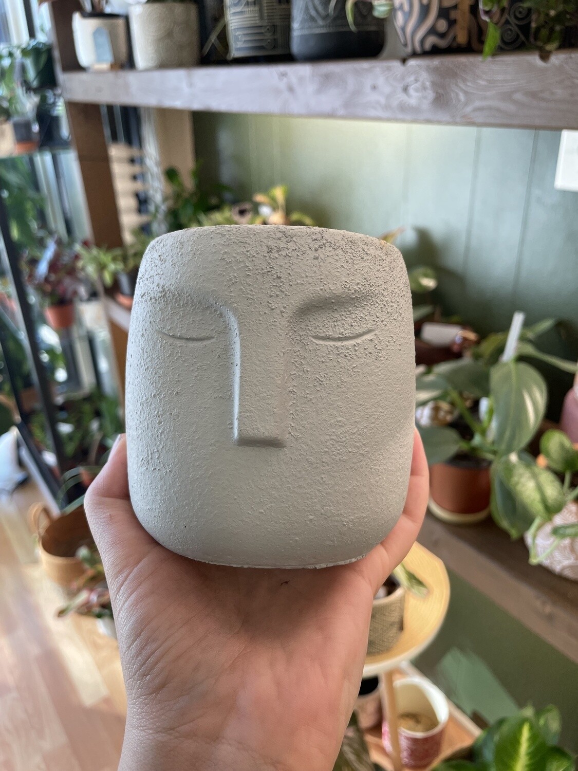 Face Pot 2.5&quot;