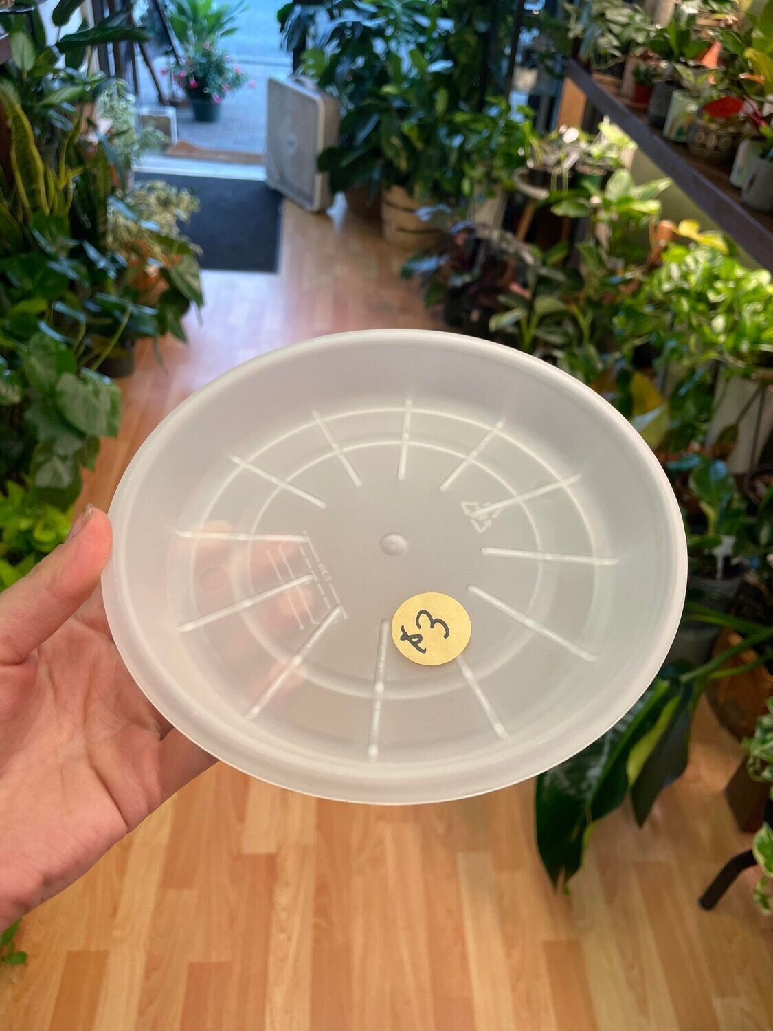 7&#39;&#39; White Plastic Saucer