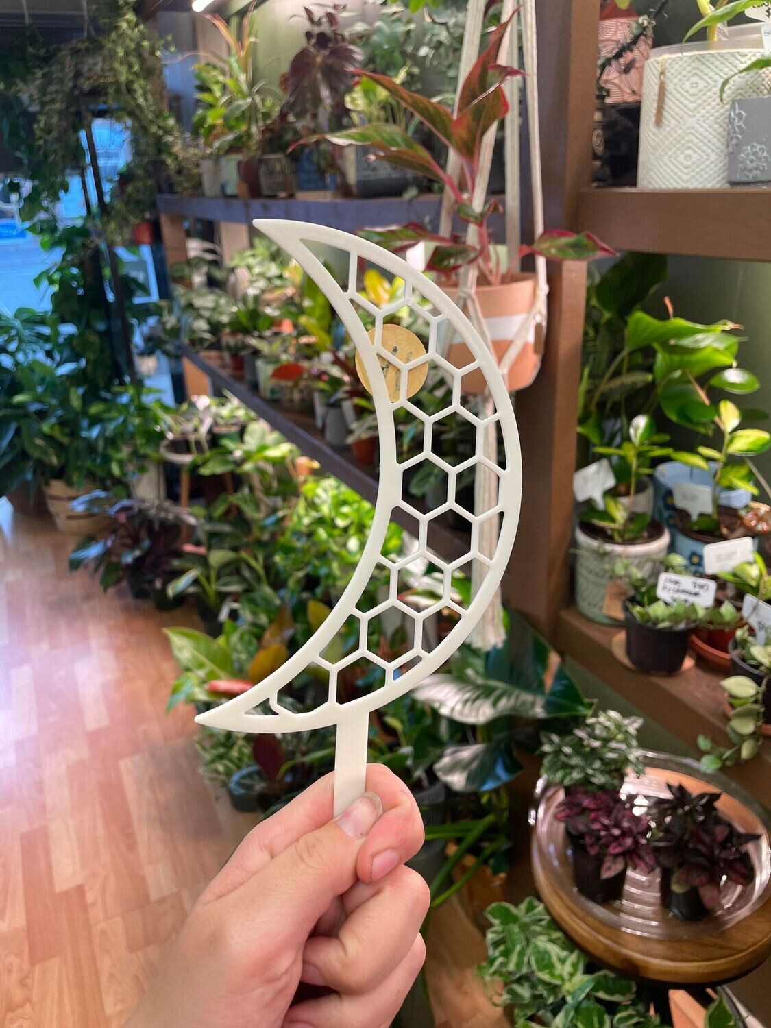 White Plastic Moon Trellis