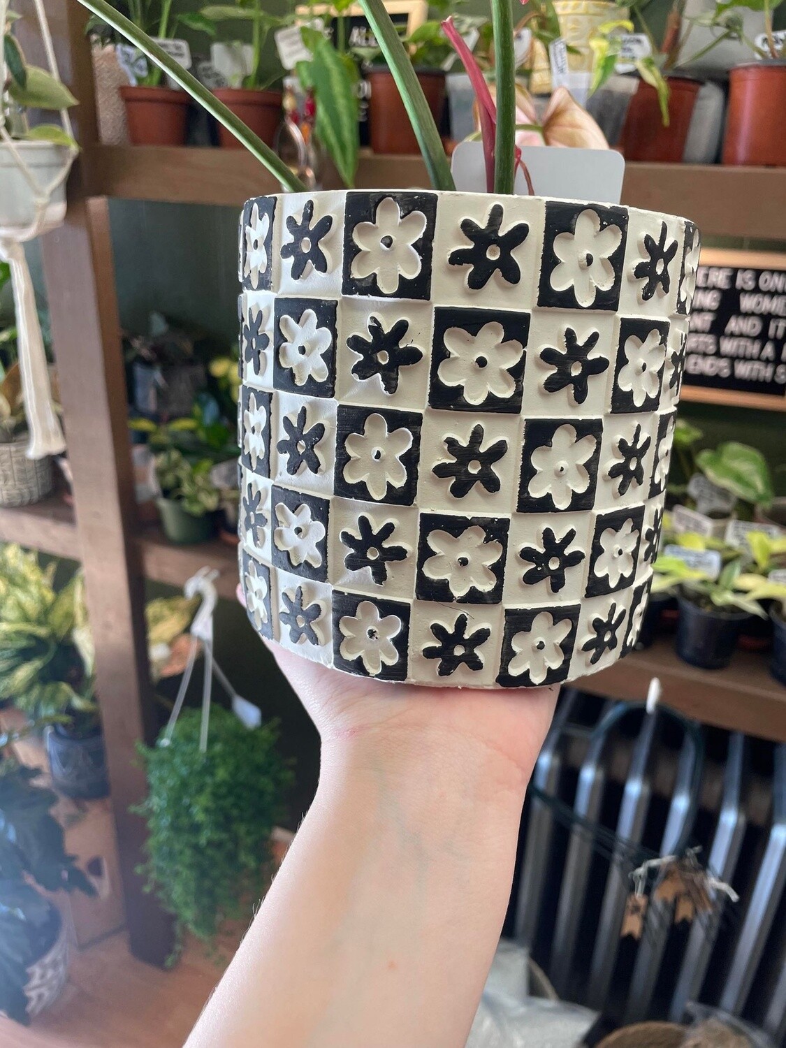 4&quot; White with Black Square w/Black Flower Pot