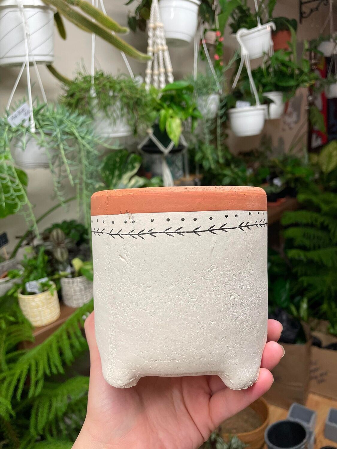 5&quot; White &amp; Terracotta Pot with Flowers