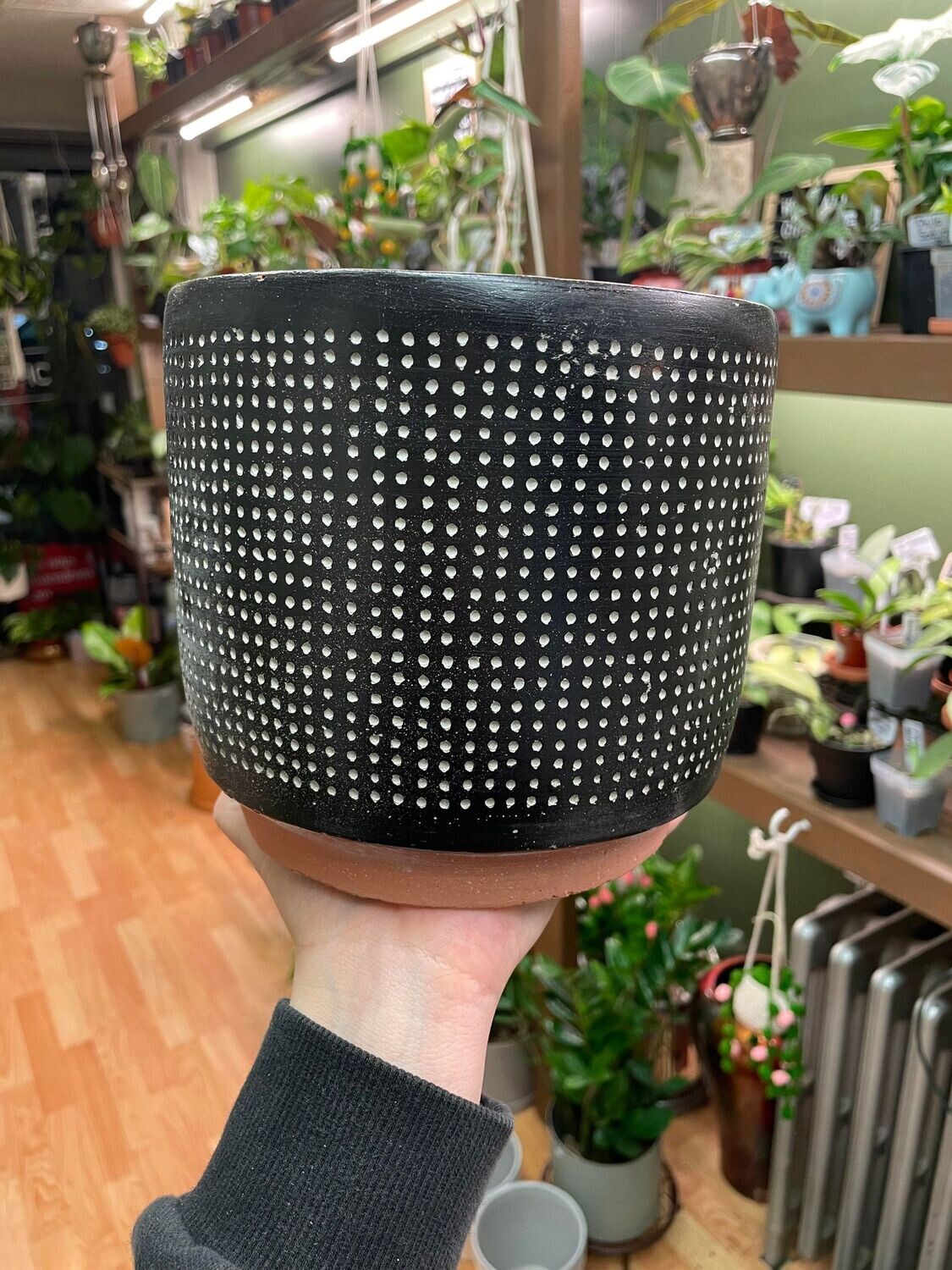 6.25&quot; Black Pot with pin holes