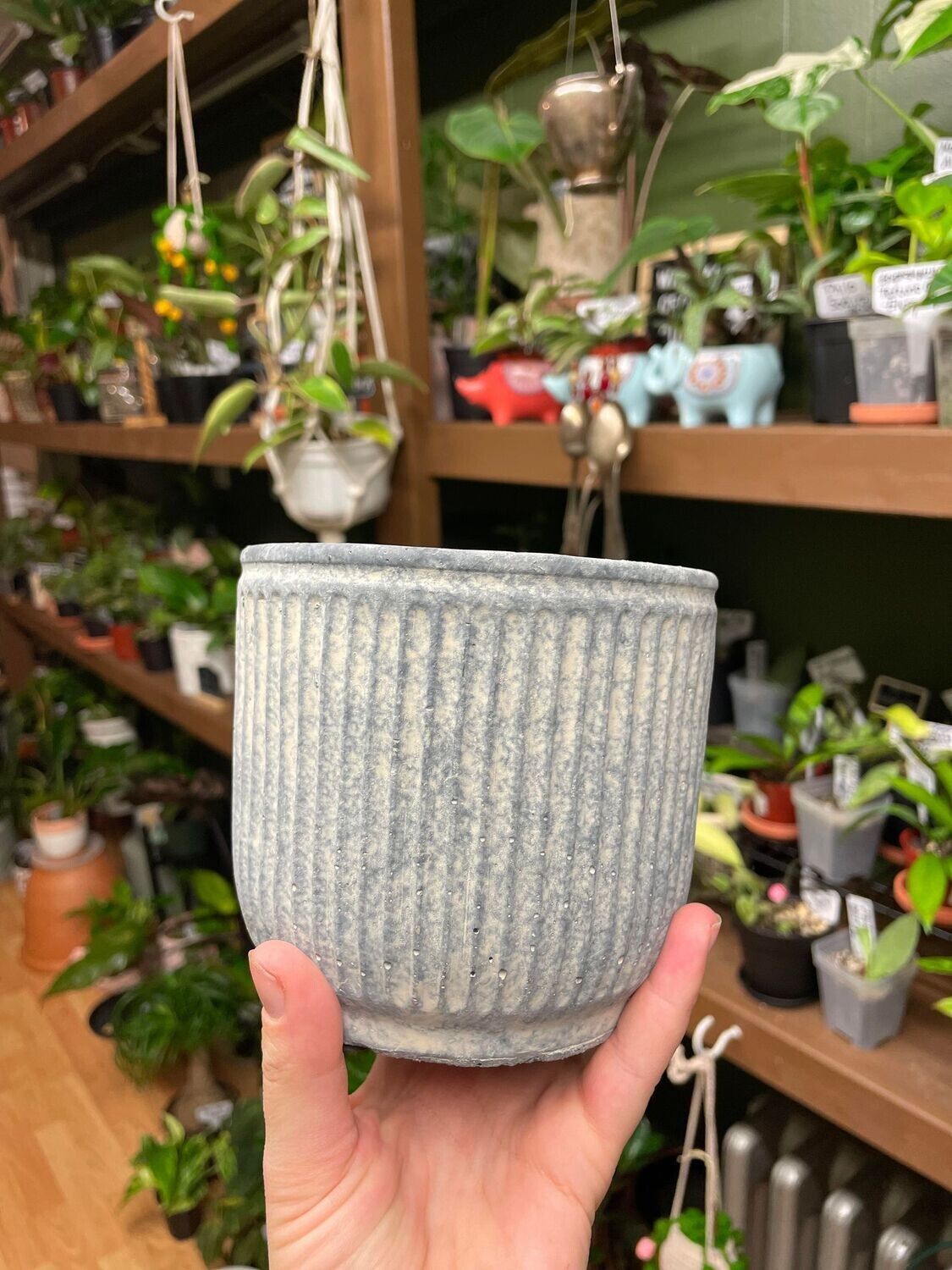 4.5&quot; Grey Striped Pot