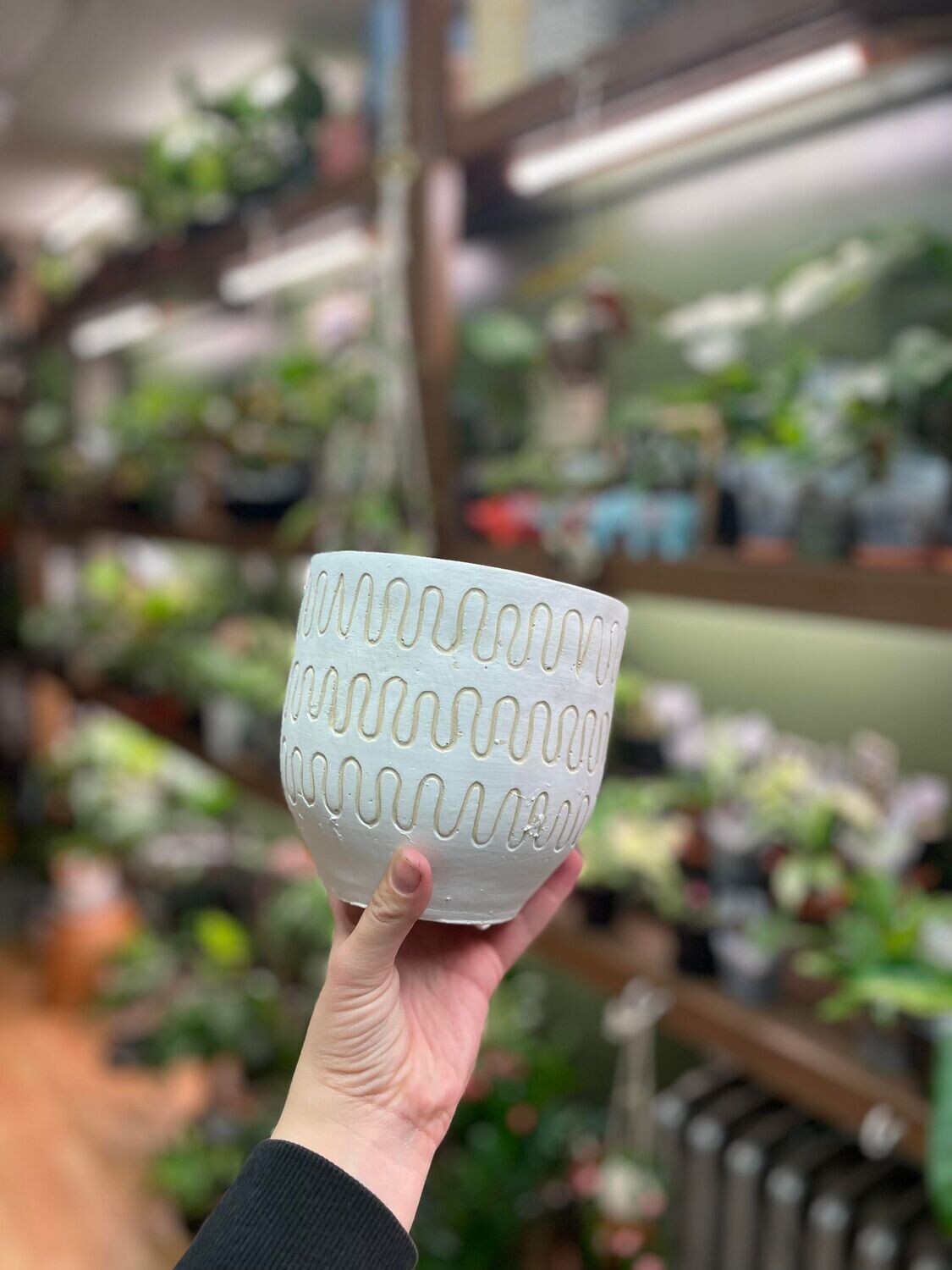7&quot;  White with Cream Squiggly