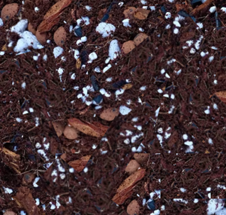 Tropical Houseplant Soil Mix (3.97L)