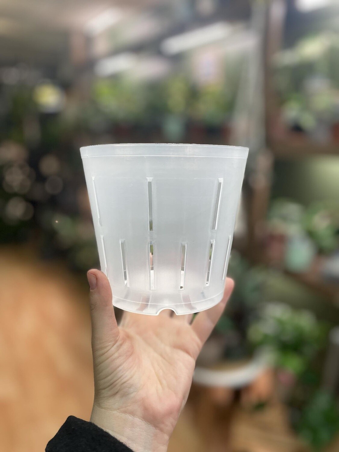 5&quot; Clear Nursery Pot