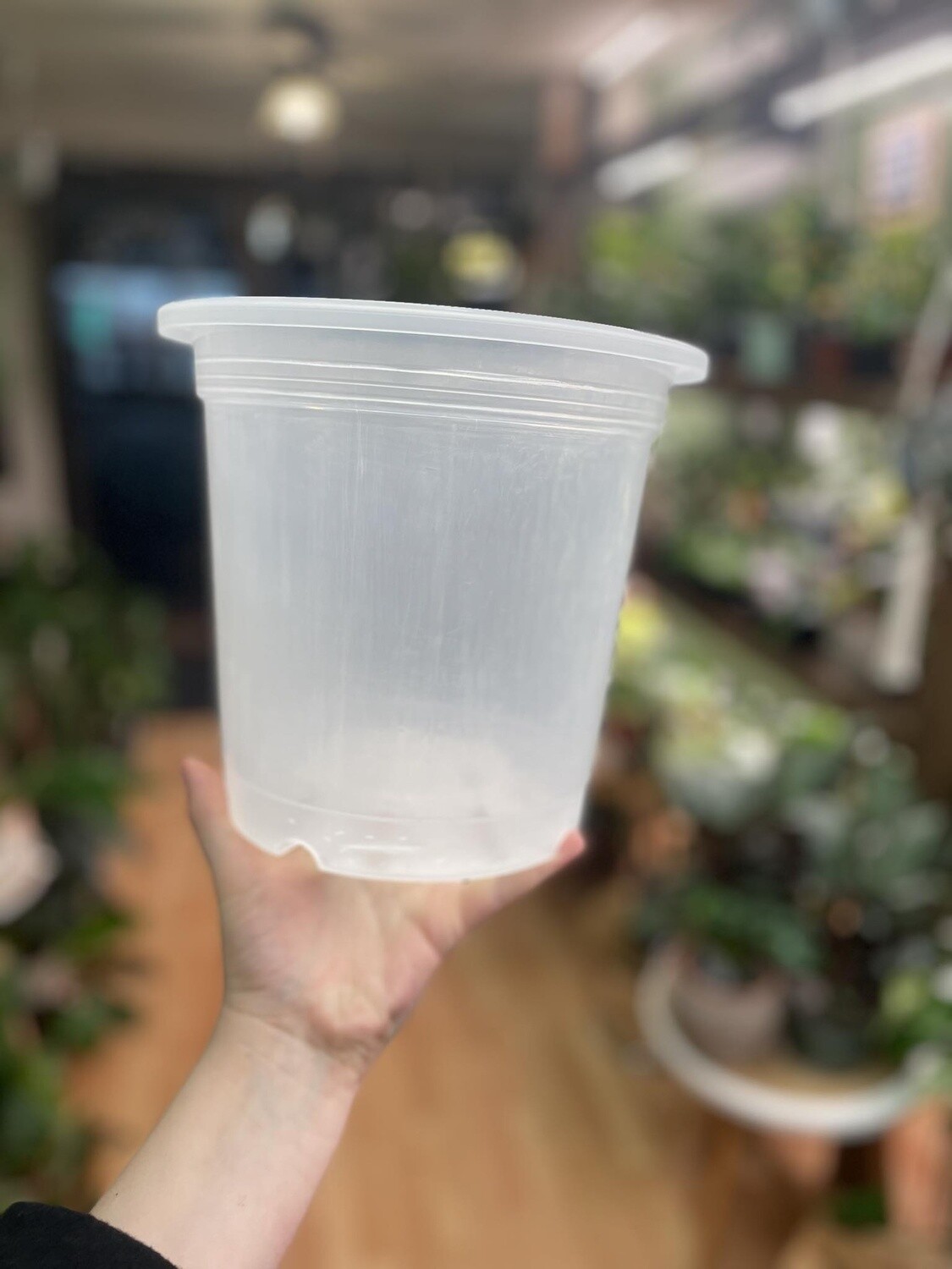 7&quot; Clear Nursery Pot