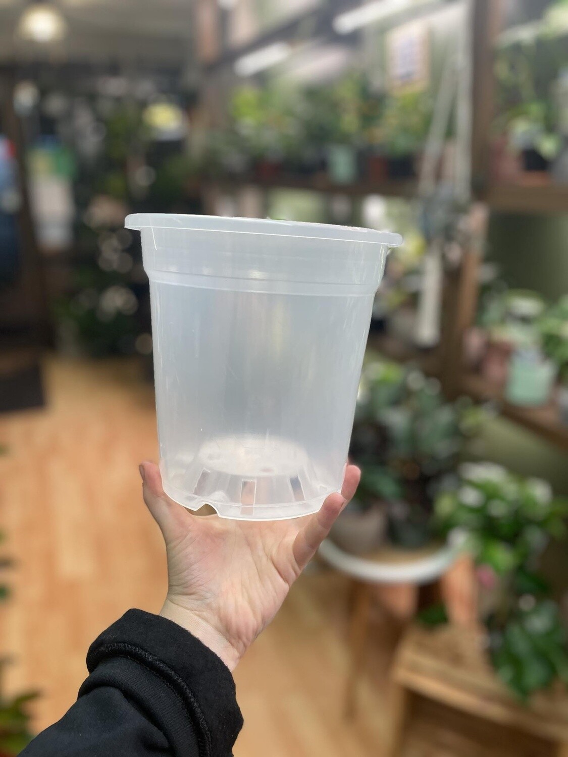 6&quot; Clear Nursery Pot 
