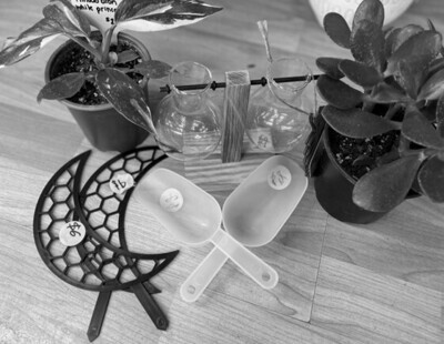 Plant Accessories &amp; More