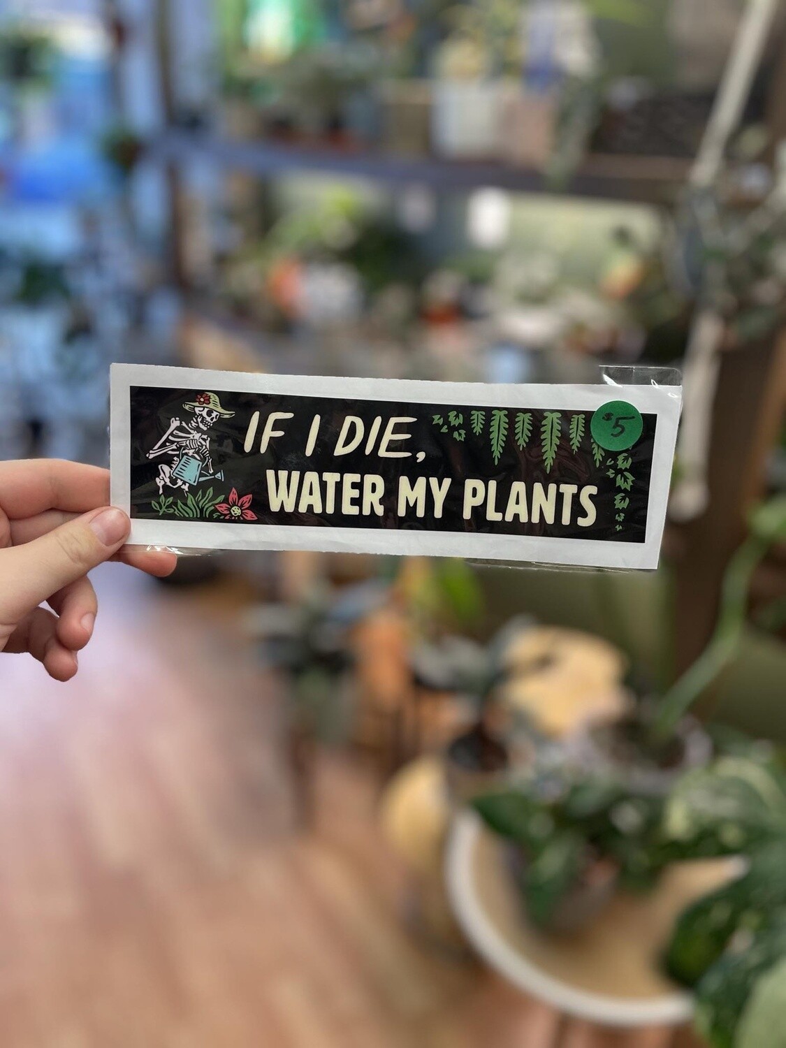 Bumper Sticker(If i die, water my plants)
