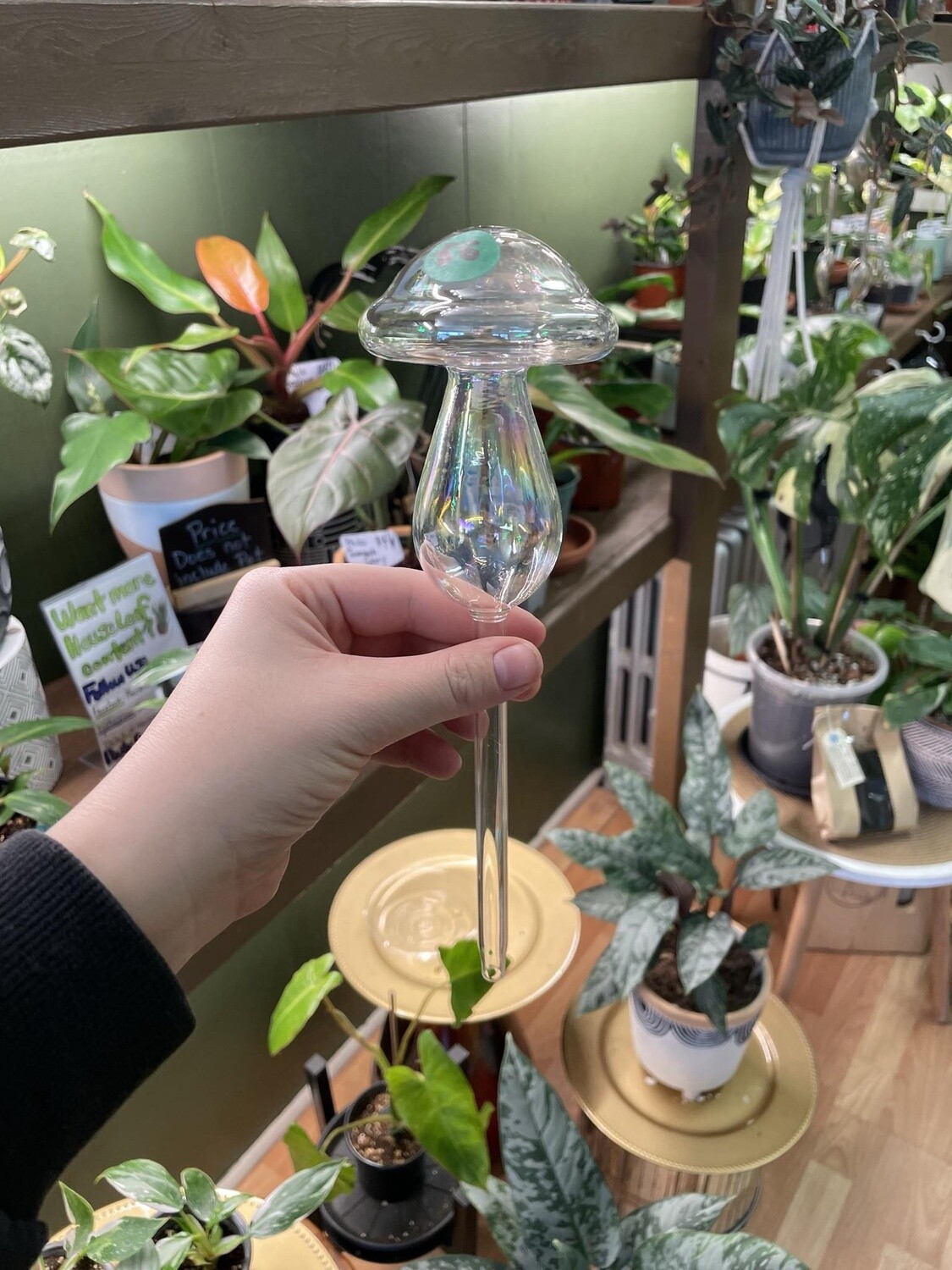 Mushroom Watering globe