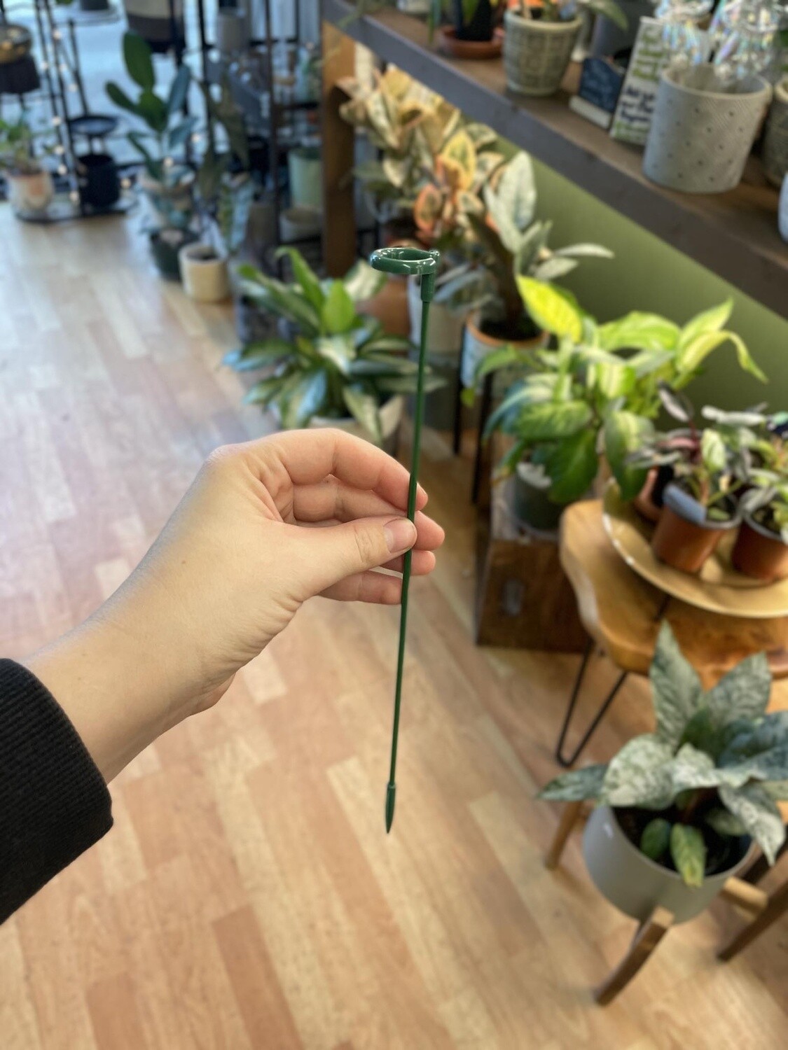 Plant Support Rod