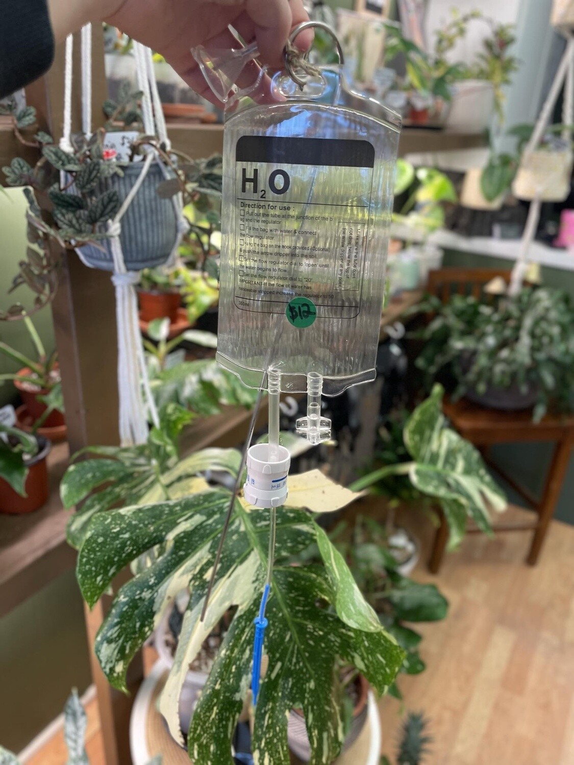 H20 Plant IV Drip (Self Watering)