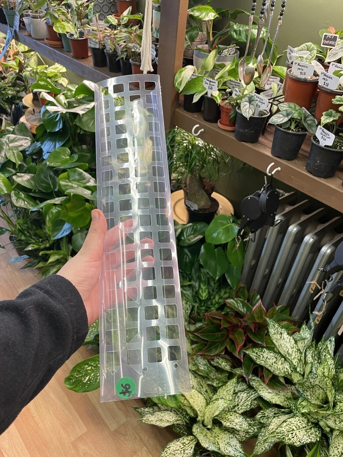 15&quot; D-Shape Plastic Moss Pole (Transparent)