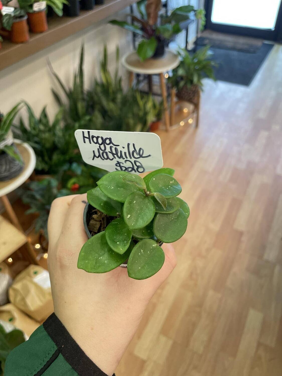 2.5&quot; Hoya Mathlide 