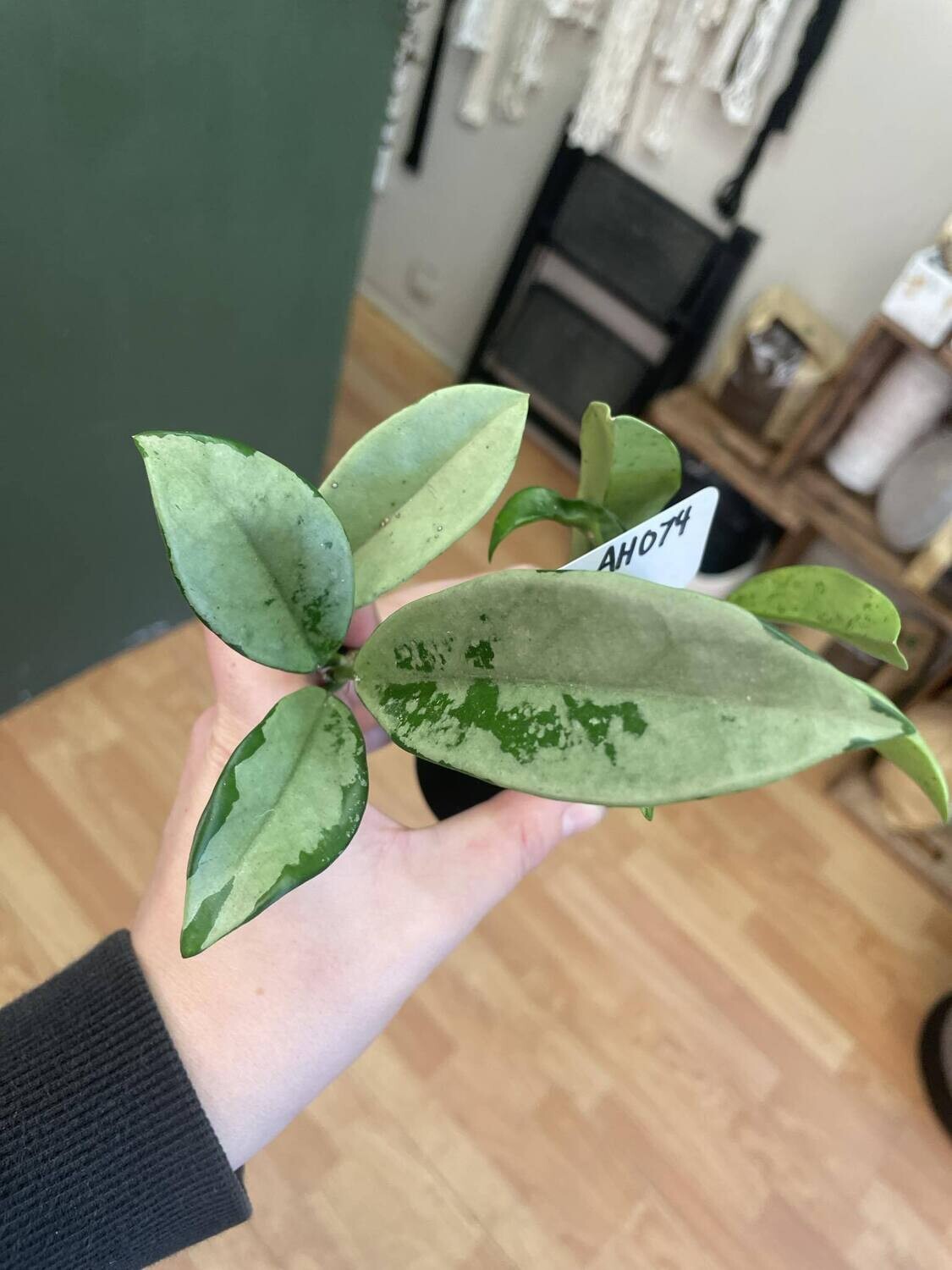 2.5&quot; Hoya Ah074