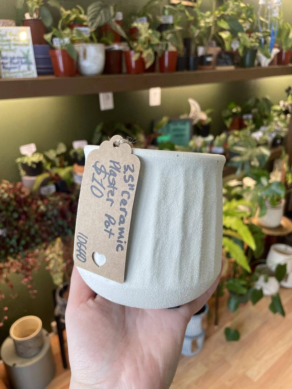 3.5&quot; Ceramic Plaster pot