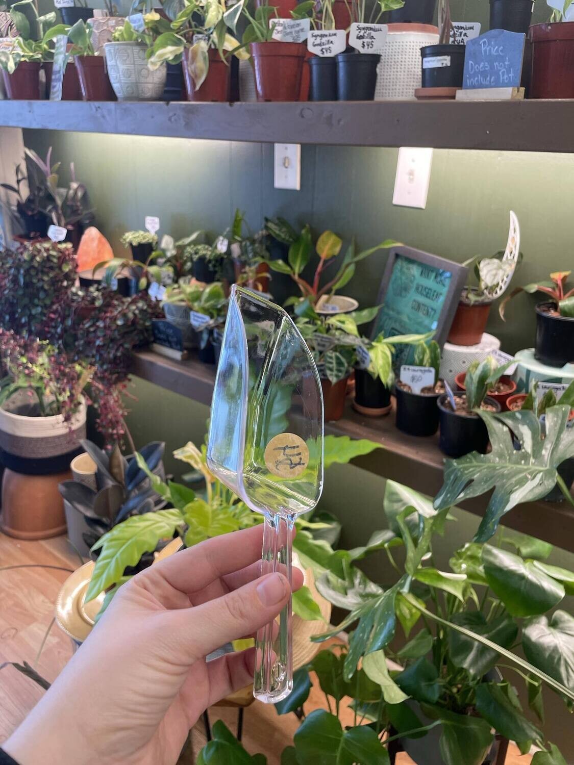 Clear Soil Spoon
