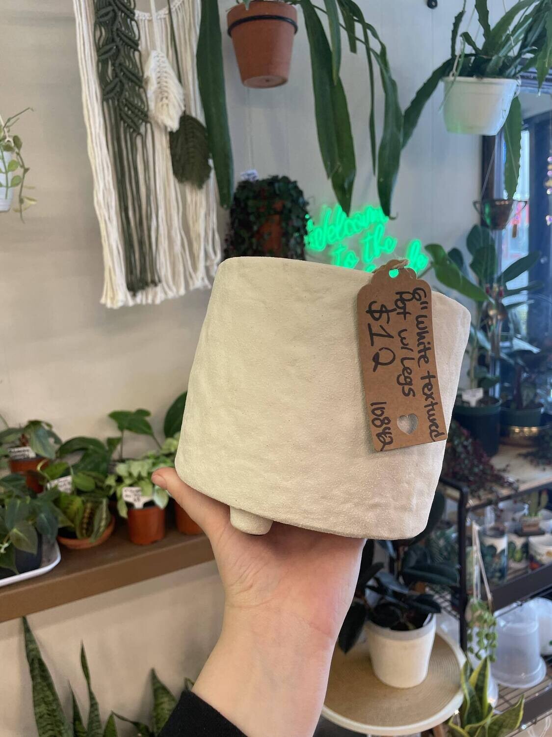 6&quot; White Textured Pot