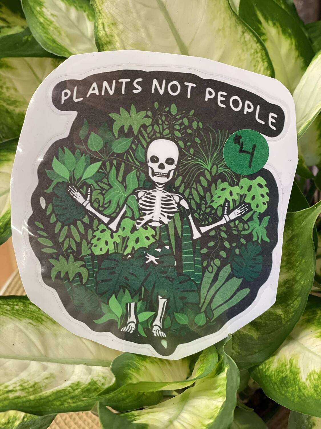 &quot;Plants Not People&quot; Car Stickers