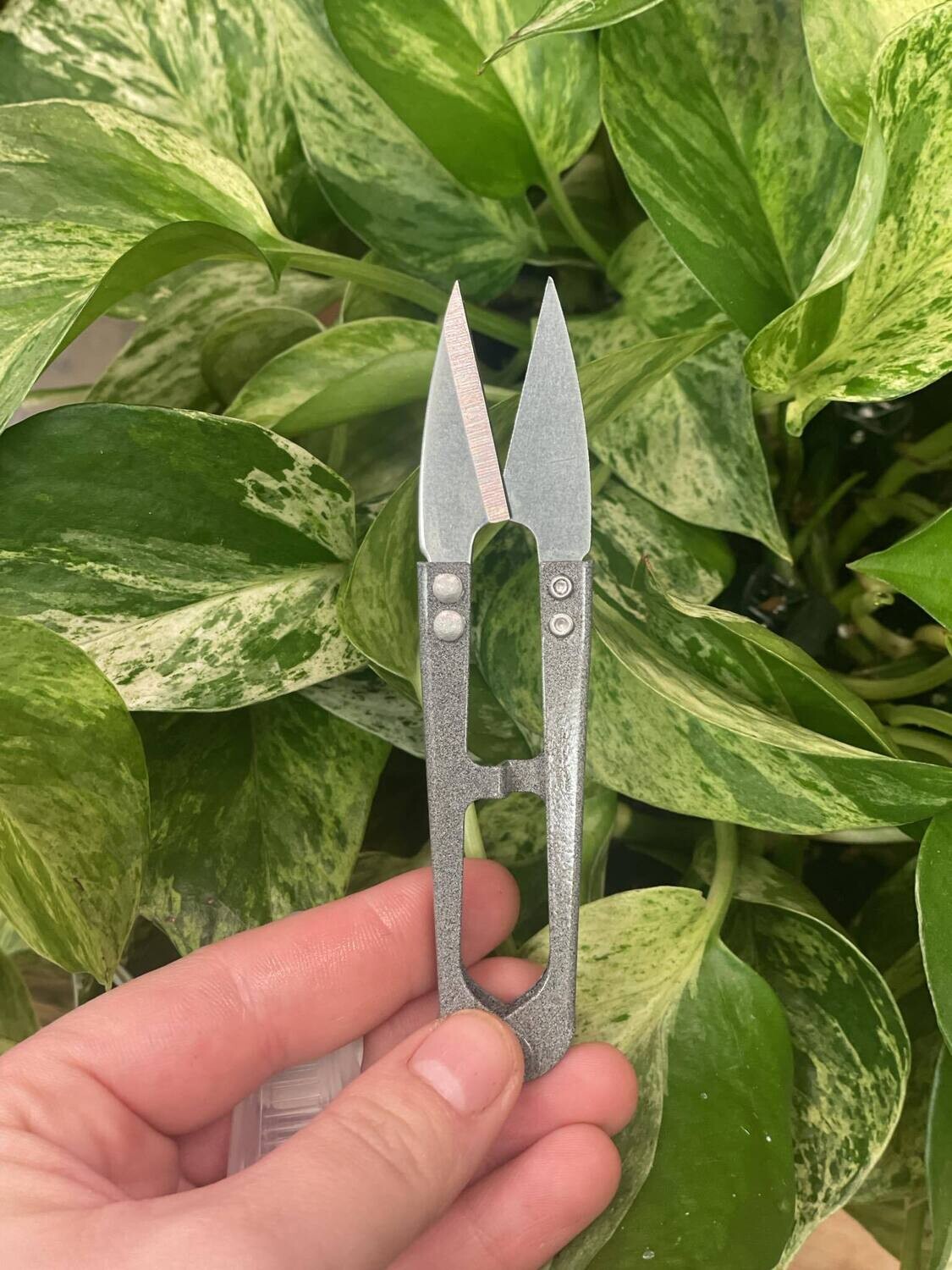 Black Pruning Scissors