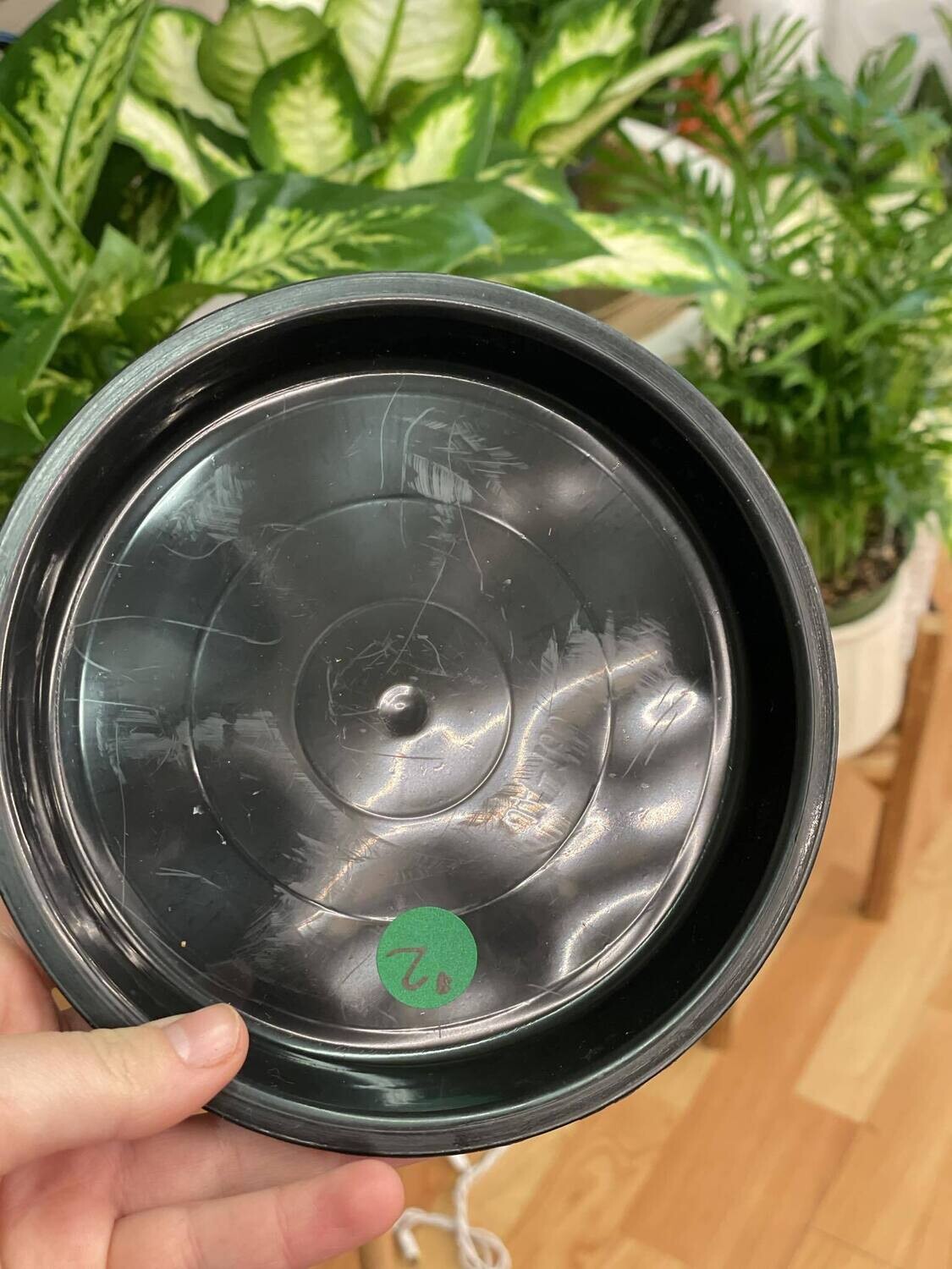 6&quot; Black Plastic Saucer