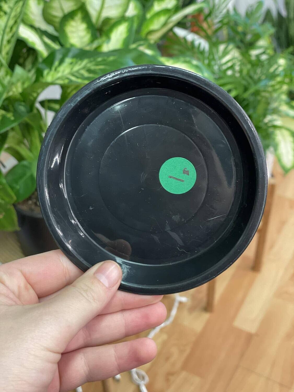 4&quot; Black Plastic Saucers