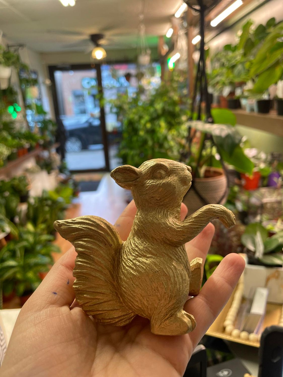 Squirrel Pot decor