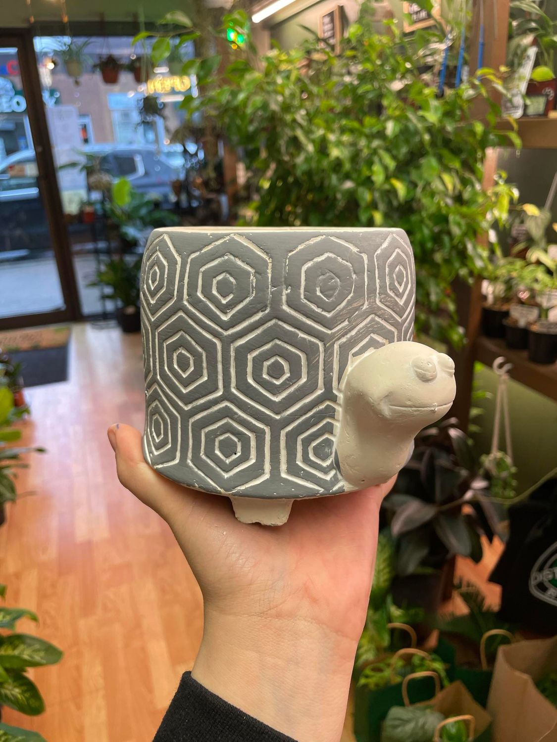 4.5&quot; Grey Turtle pot